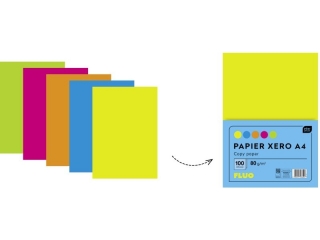 Papier Xero A4 100 5 kolorów Fluo