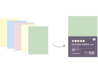 Papier xero A4 100 5 kolorów Pastel
