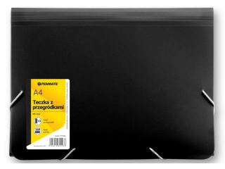PENMATE TECZKA Z 13-MA PRZEGRÓDKAMI A4-PP104 CZARNA