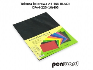 BRYSTOL/TEKTURA KOL. A4 405 BLACK/CZARNACPA4-225-10 (SZPSH) - dostępność 6.07.25