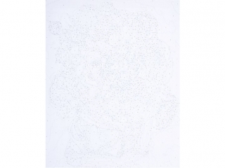 Malowanie po numerach 40x50cm ASTRA ARTEA - W Piwoniach
