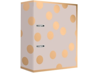 Segregator A4 75 2R DŹ Met Sat.G Dots