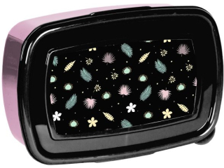Śniadaniówka PASO PP25GG-3022 17x10, 5x5, 5