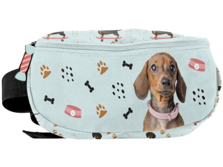 Saszetka nerka PASO PIES PP25JA-510 24x13x9