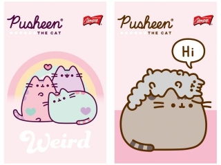 Notatnik A6 50 kartek krata okadka kredowana 70 g/m2 PUSHEEN [opakowanie=10szt]