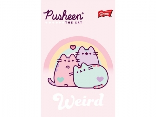 Notatnik A6 50 kartek krata okadka kredowana 70 g/m2 PUSHEEN [opakowanie=10szt]