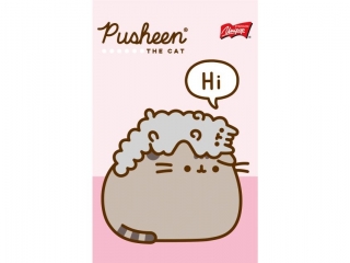 Notatnik A6 50 kartek krata okadka kredowana 70 g/m2 PUSHEEN [opakowanie=10szt]