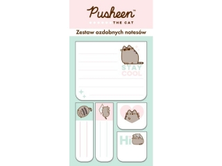 Zestaw 5 notesów ozdobnych 5 elementy PUSHEEN