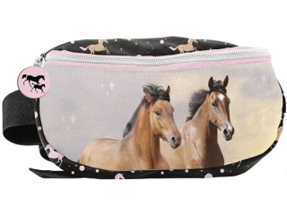Saszetka nerka PASO KO PP25HA-510 24x13x9