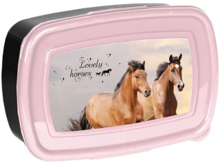 niadaniwka PASO KO PP25HA-3022 17x10, 5x5, 5