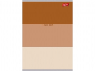 Zeszyt historia ze cig A5 60 kartek krata okadka laminowana 70 g/m2 COLOR STRIPES [opakowanie=10szt]