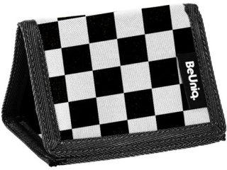 Portfel PASO BEUNIQ BU25VS-882 12x8, 5x1