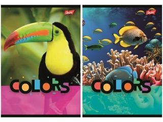 Zeszyt A5 32 kartki linia dwukolorowa okadka laminowana 70 g/m2 EXOTIC COLORS [opakowanie=15szt]