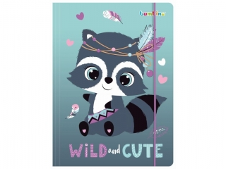 Teczka z gumk A4 300 g/m2 RACOON [opakowanie=10szt]