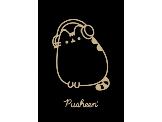 Zeszyt A5 60 kartek krata okadka laminowana 70 g/m2 PUSHEEN GOLD [opakowanie=10szt]