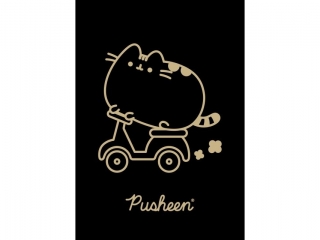 Zeszyt A5 60 kartek krata okadka laminowana 70 g/m2 PUSHEEN GOLD [opakowanie=10szt]