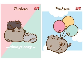 Zeszyt A5 32 kartki linia dwukolorowa okadka laminowana 70 g/m2 PUSHEEN [opakowanie=15szt]