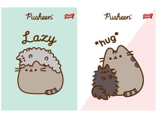 Zeszyt A5 32 kartki linia dwukolorowa okadka laminowana 70 g/m2 PUSHEEN [opakowanie=15szt]