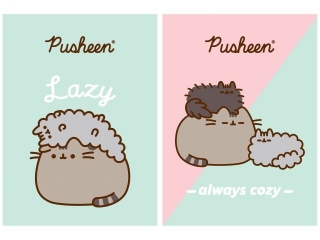 Zeszyt A4 32 kartki krata okadka laminowana 70 g/m2 PUSHEEN [opakowanie=15szt]