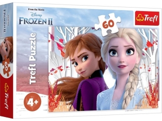 Puzzle "60 - Zaczarowany świat Anny i Elsy" / Disney Frozen 2 17333