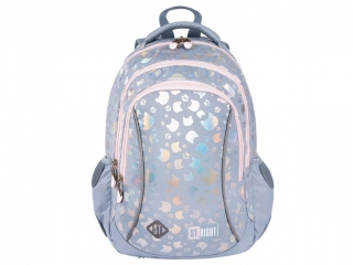Plecak 3 komorowy 15" BP26 SILVER CATS