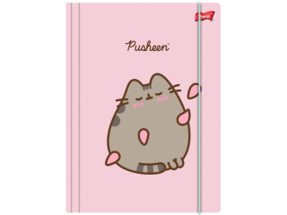 Teczka z gumk A4 300 g/m2 PUSHEEN [opakowanie=10szt]
