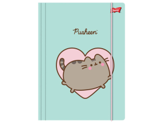 Teczka z gumk A4 300 g/m2 PUSHEEN [opakowanie=10szt]