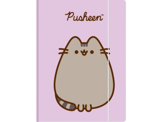 Teczka z gumk A4 300 g/m2 PUSHEEN [opakowanie=10szt]