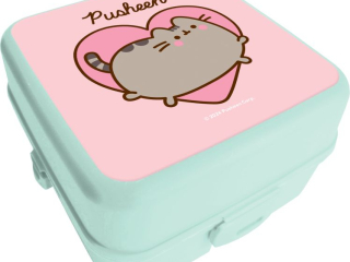 niadaniwka PUSHEEN