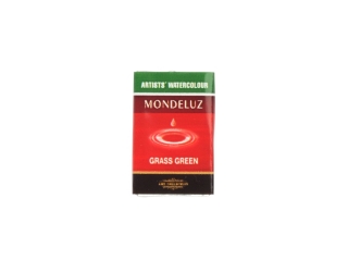 KIN FARBA AKWAR.MONDELUZ 1636717 GRASS GREEN 717 8G