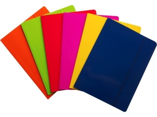 TECZKA A4 Z GUMK FLUO REXUS [opwakowanie=10szt]