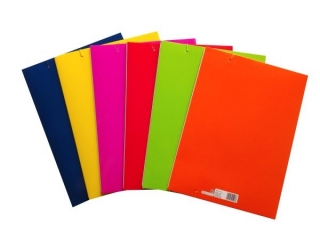 TECZKA A4 Z GUMK FLUO REXUS [opwakowanie=10szt]