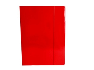TECZKA A4 Z GUMK FLUO REXUS [opwakowanie=10szt]