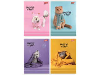 Zeszyt A5 32 kartki linia dwukolorowa ok�adka laminowana lakier miejscowy UV 70 g/m2 PAWSITIVE VIBES [opakowanie=15szt]