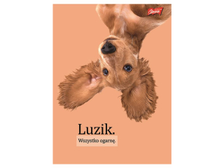 Zeszyt A5 60 kartek linia ok�adka laminowana lakier miejscowy UV 70 g/m2 DOGGY MOODS [opakowanie=10szt]