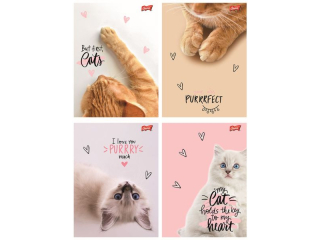 Zeszyt A5 60 kartek krata ok�adka laminowana lakier miejscowy UV 70 g/m2 PURRFECT MOMENTS [opakowanie=10szt]
