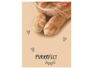 Zeszyt A5 60 kartek linia ok�adka laminowana lakier miejscowy UV 70 g/m2 PURRFECT MOMENTS [opakowanie=10szt]