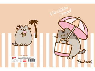 Zeszyt A5 32 kartki linia dwukolorowa ok�adka laminowana 70 g/m2 PUSHEEN [opakowanie=15szt]