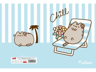 Zeszyt A5 32 kartki krata ok�adka laminowana 70 g/m2 PUSHEEN [opakowanie=15szt]