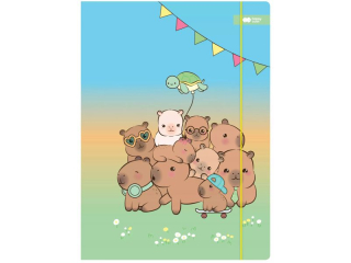 Teczka kartonowa z gumk, Kapibara Kapi Fun, 24x31cm, Happy Color [opakowanie=10szt]