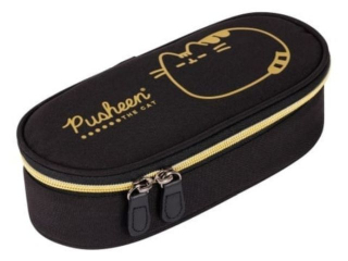 Pi�rnik saszetka usztywniona z wewn�trzn� klapk� PC-01 PUSHEEN GOLD mkmp