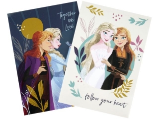 NOTES z poddrukiem A6/30k. / FROZEN