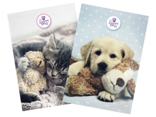 NOTES z poddrukiem A6/30k. / THE SWEET PETS