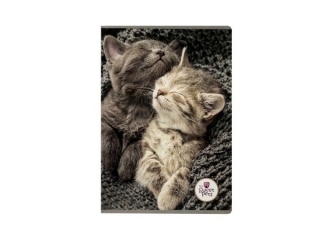 ZESZYT A5/60k. linia / THE SWEET PETS [opakowanie=5szt]