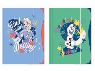 TECZKA Z GUMKĄ A4 / FROZEN