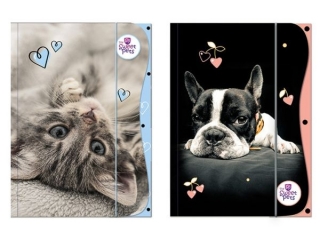 TECZKA Z GUMK A4 / THE SWEET PETS [opakowanie=10szt]