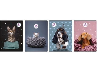 ZESZYT A5/60k. Linia / THE SWEET PETS