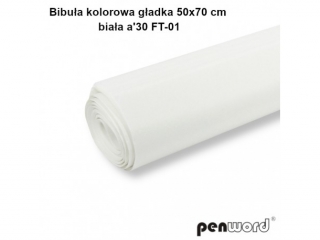 BIBUA KOLOROWA GADKA 50x70cm BIAA a30 FT-01(SZPSH)