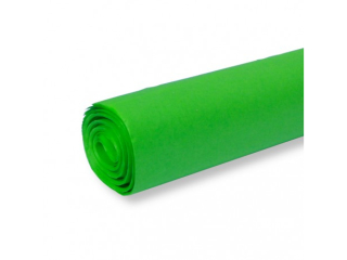 BIBUŁA KOLOROWA GŁADKA 50x70cm ZIELONA a30 FT-42 (SZPSH)