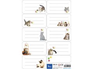Naklejki Na Zeszyt KN001-06 PR2019